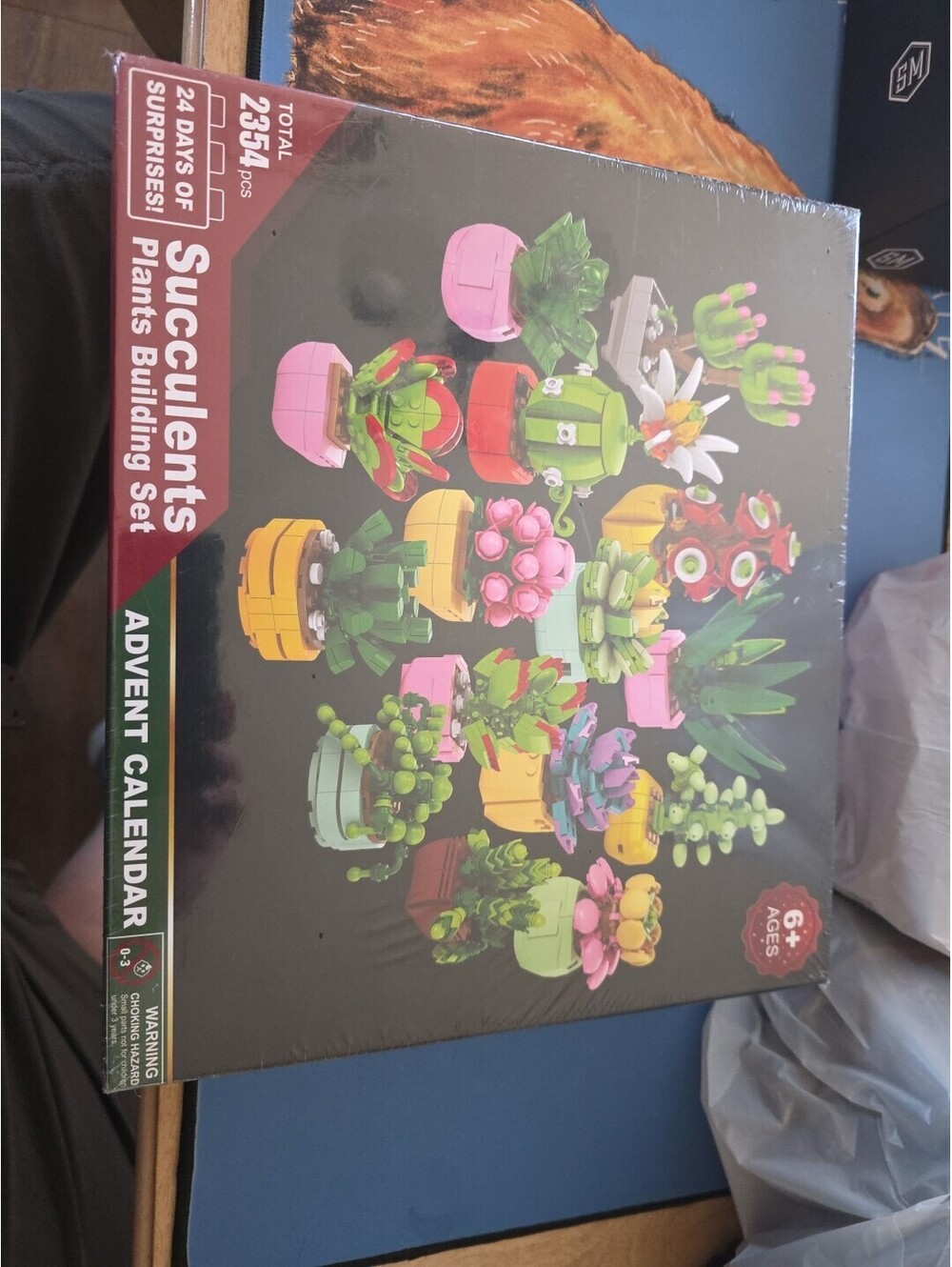 Advent Calendar 2025 for Kids Teens Adults, 24 Days STEM Succulent Flowers Build